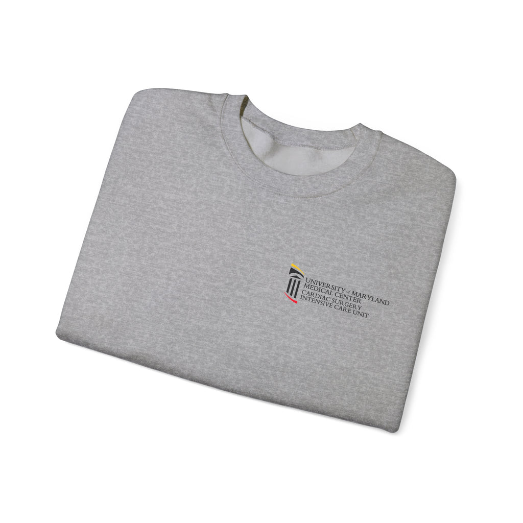 CSICU MD Flag Sweater