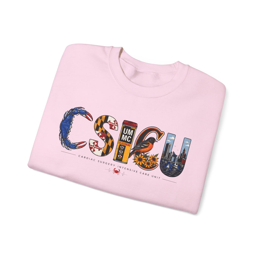 FRONT ONLY Maryland CSICU Sweater