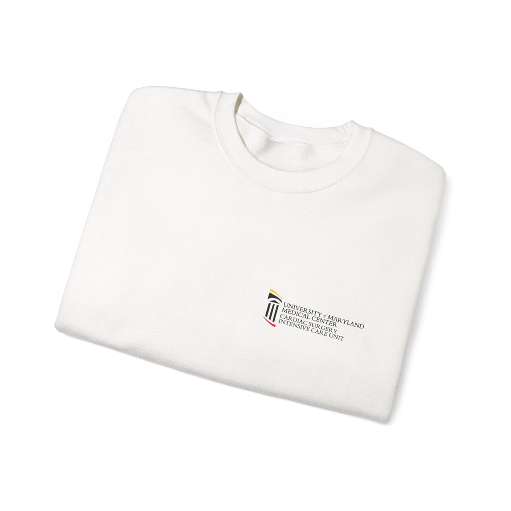 CSICU MD Flag Sweater