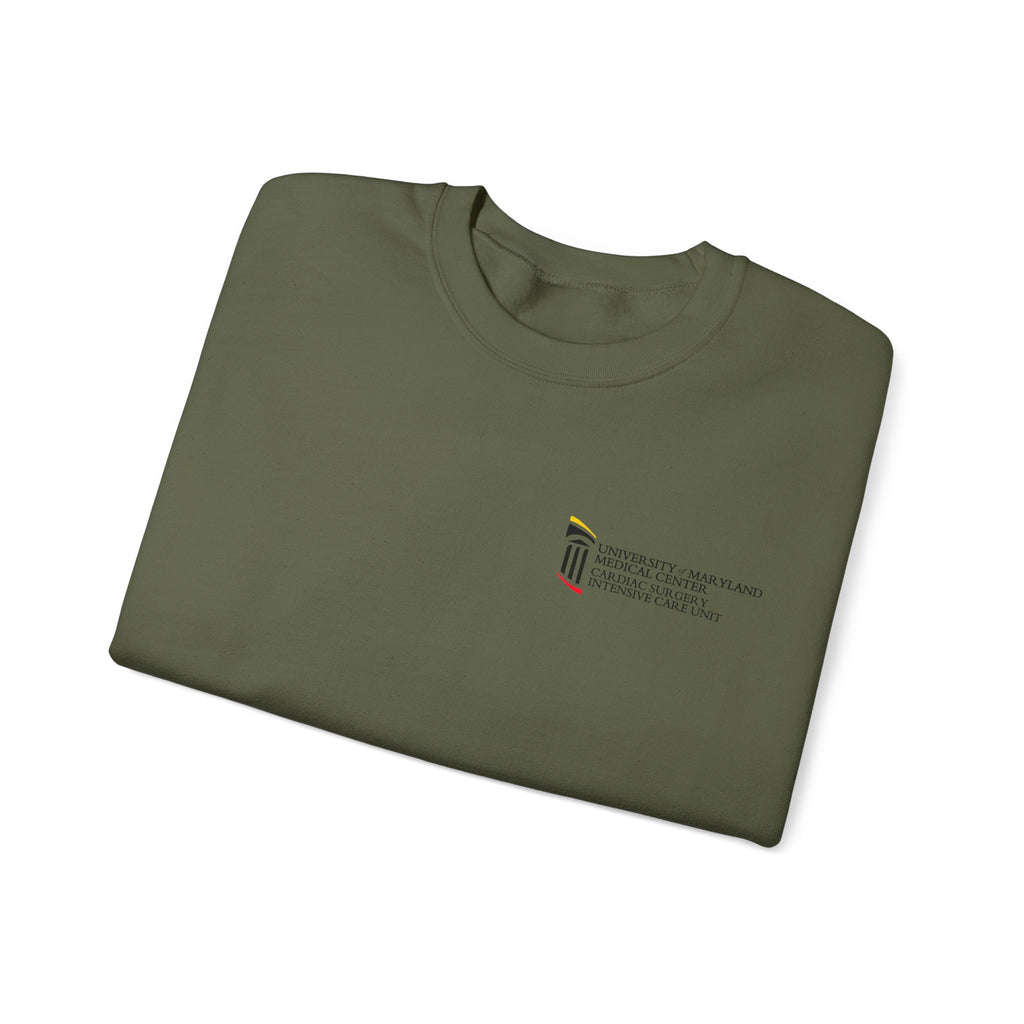 CSICU MD Flag Sweater