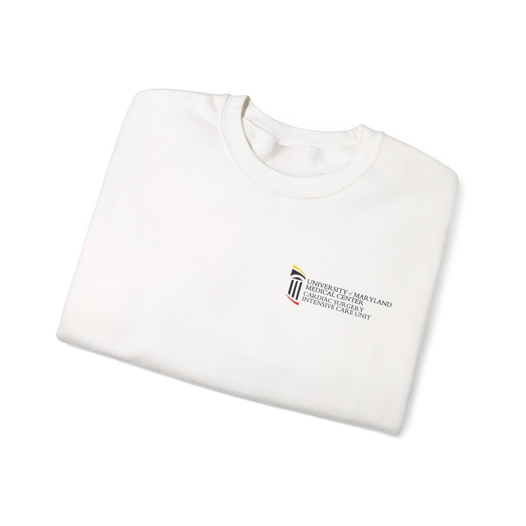 CSICU MD Flag Sweater