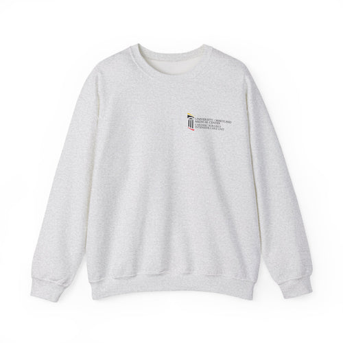 CSICU MD Flag Sweater