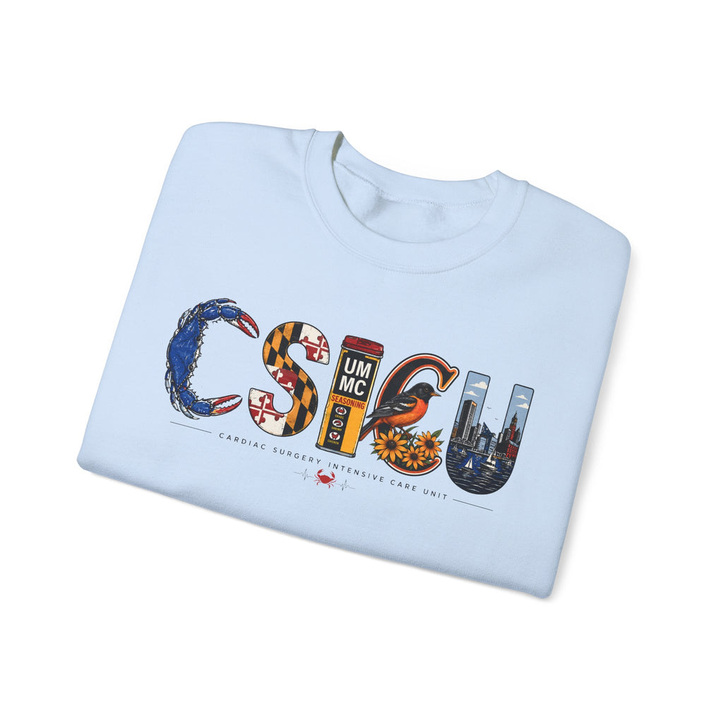 FRONT ONLY Maryland CSICU Sweater