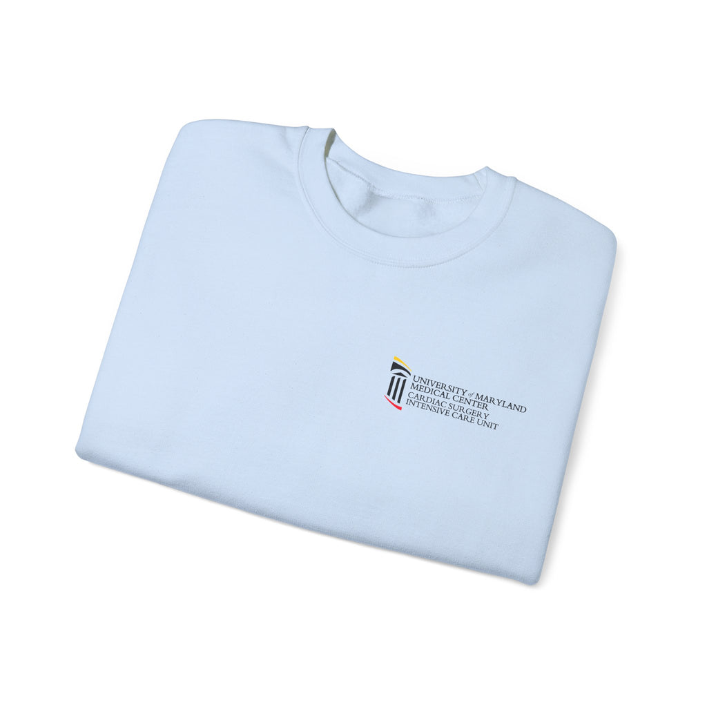 CSICU MD Flag Sweater