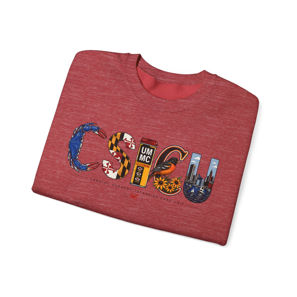 FRONT ONLY Maryland CSICU Sweater