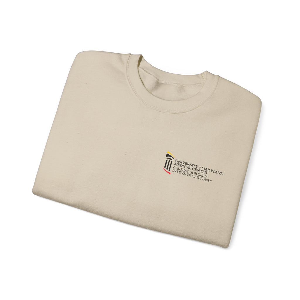 CSICU MD Flag Sweater