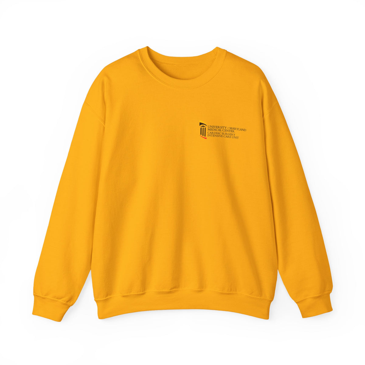 CSICU MD Flag Sweater