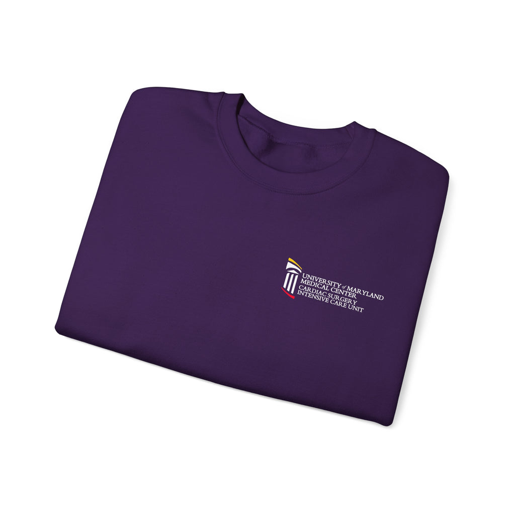 CSICU MD Flag Sweater